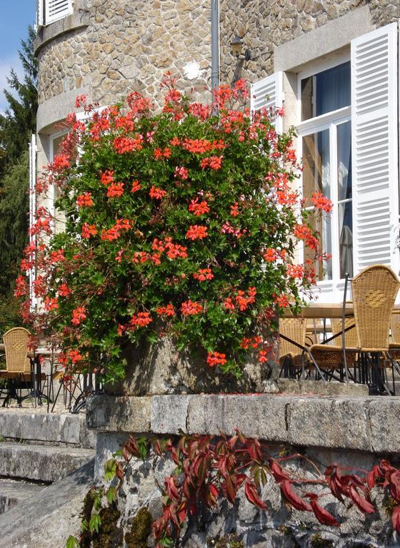 Chateau Le Mialaret Neuvic  Εξωτερικό φωτογραφία